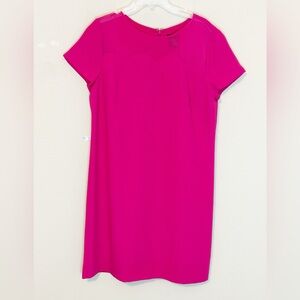 Ann Taylor Fuchsia Short sleeve Shift Dress with Sheer Scallop Design - size 12